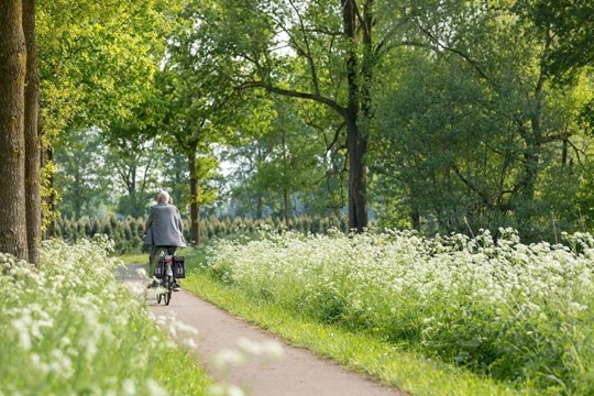 Skelter- en fietsverhuur