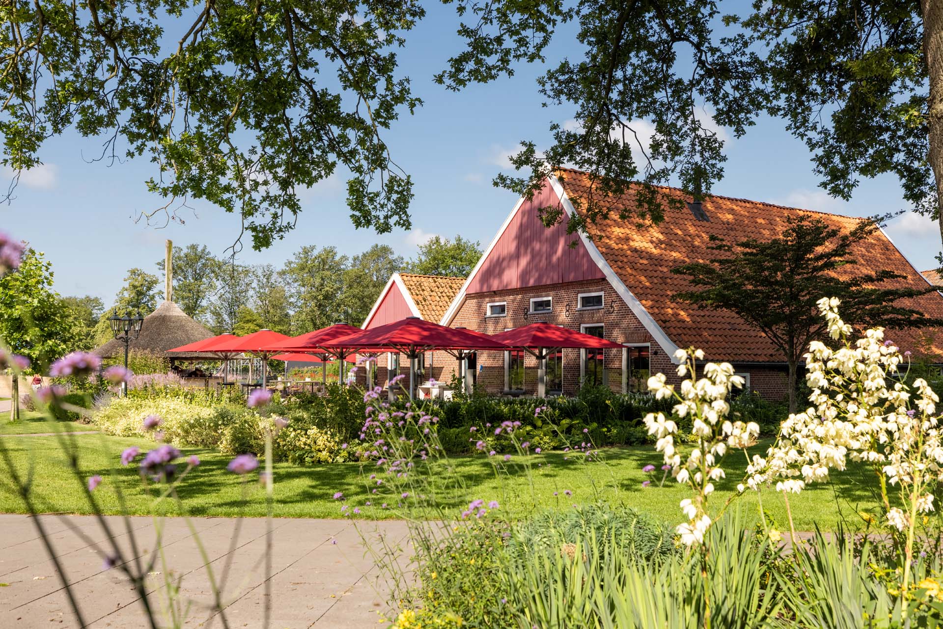 TB20210717 0281 ( niet meer gebruiken)